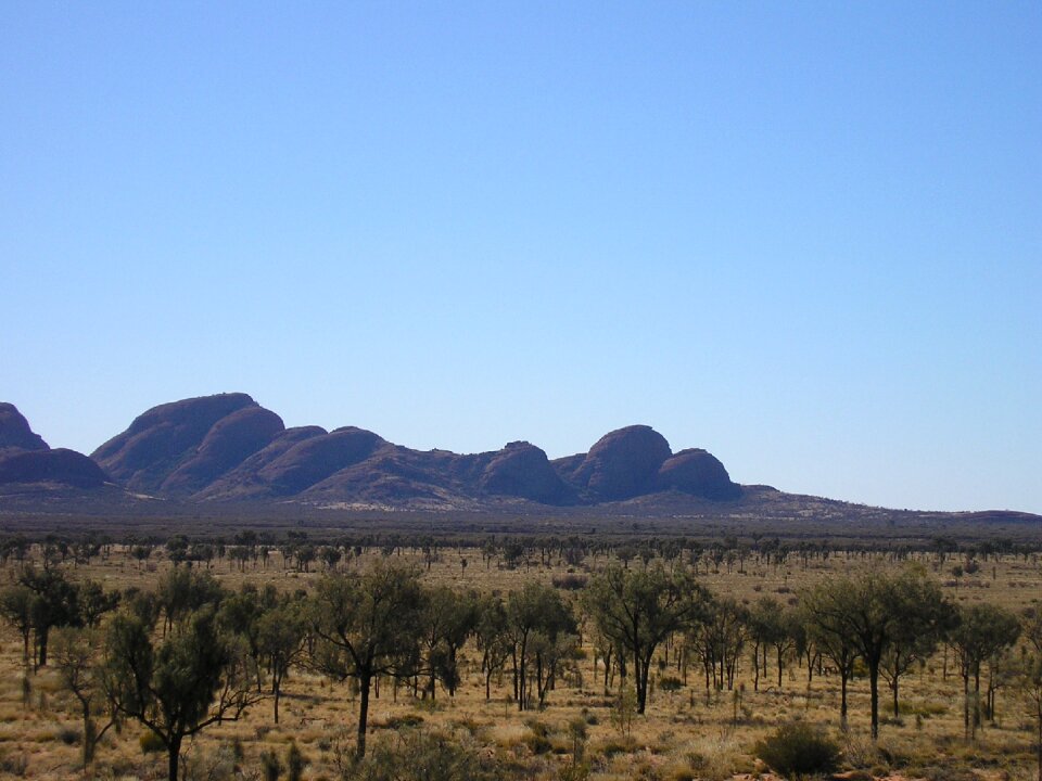 Australia australian outback
