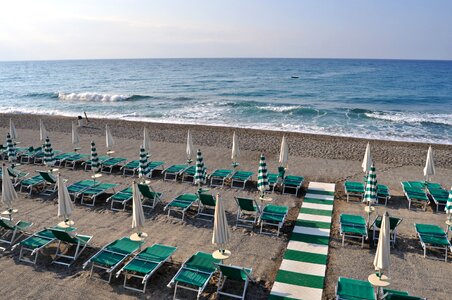 Great blue green