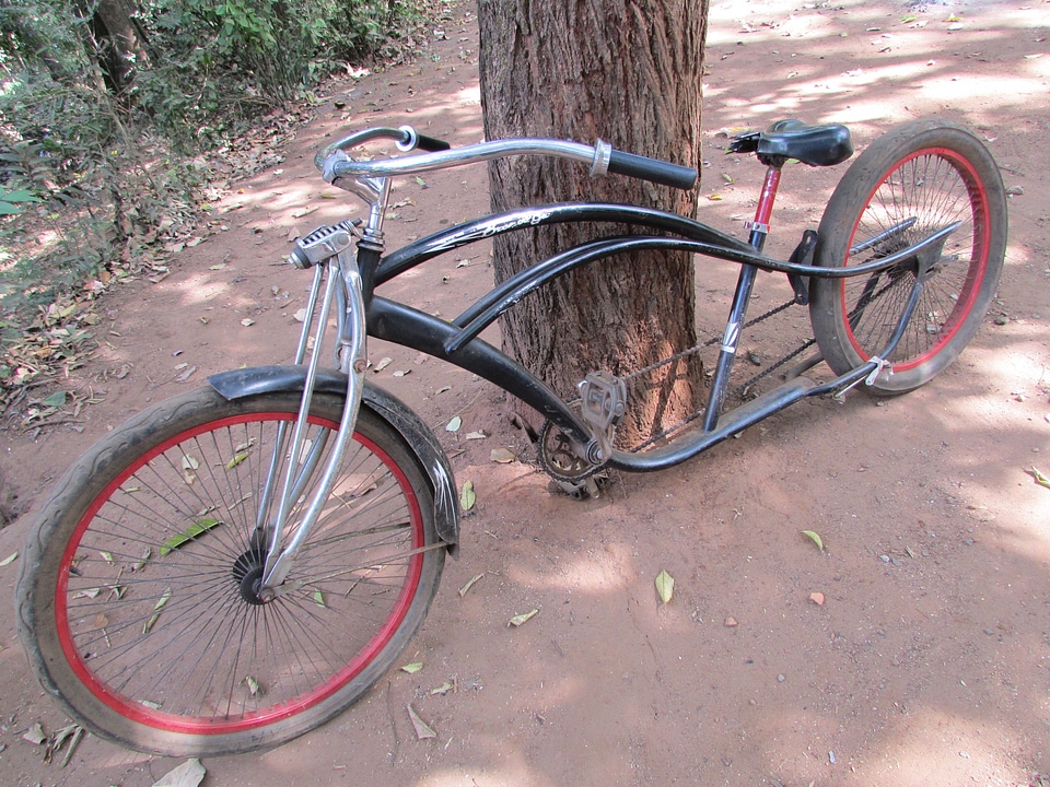 Vintage dandeli india