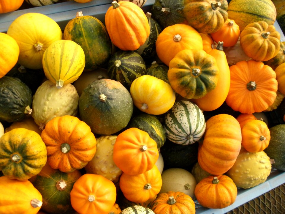 Mix harvest autumn
