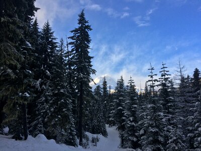 Mt hood natural