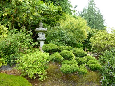 Japanese garden relaxation rest