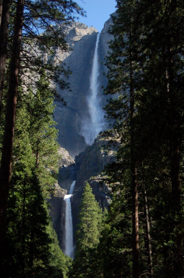 Forest park
