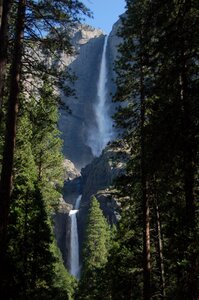 Forest park