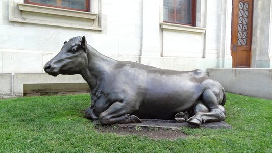 Sculpture animal statue