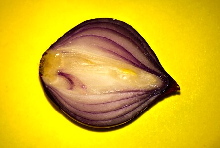 Sliced onion food photo