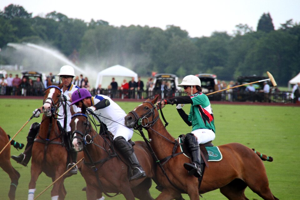 Equestrian sport competition