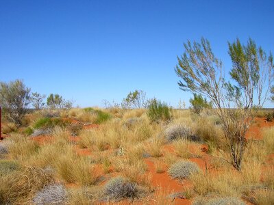 Australian outback australia photo