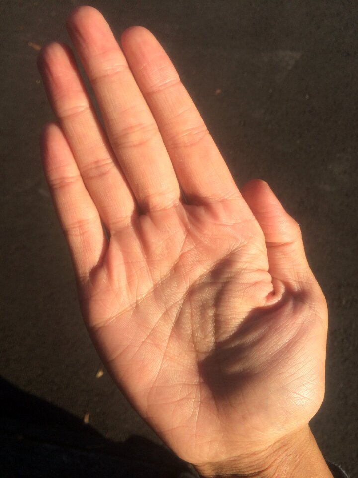 Bleaching palm reading young