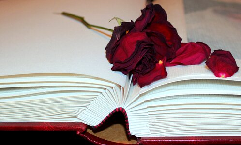 Photo album silk leaves memory