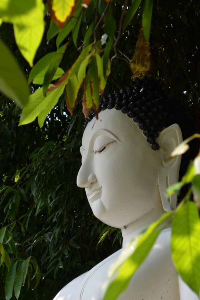 Statue asian