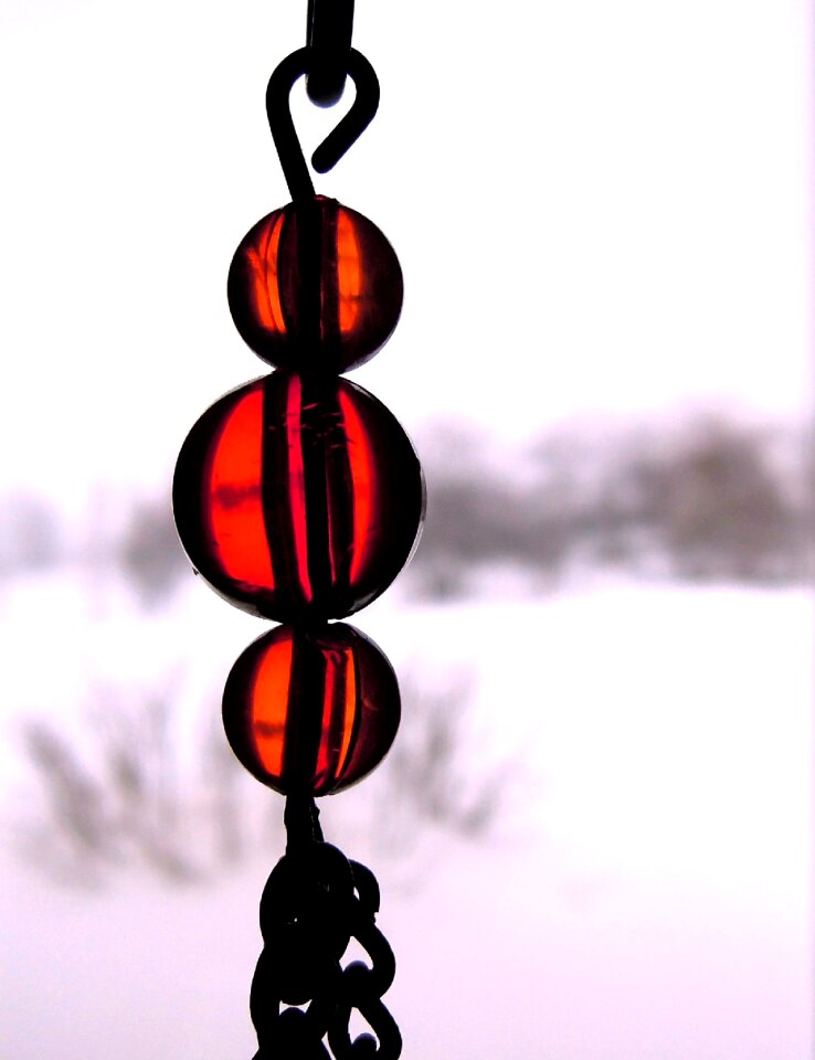 Landscape ornament vine