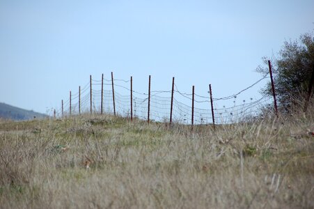 Barbed wire field sky photo