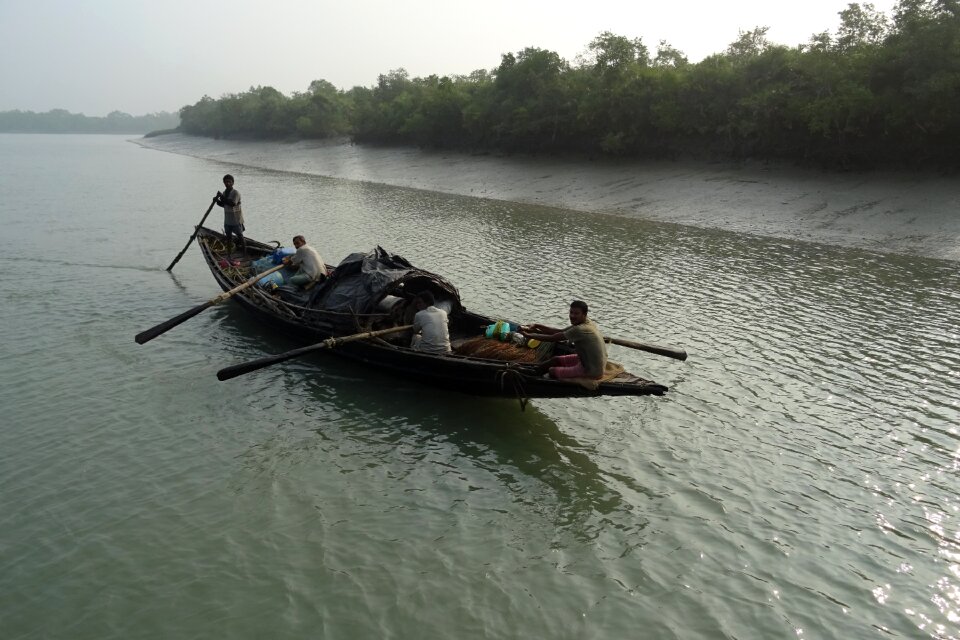 Forest river ramsar site