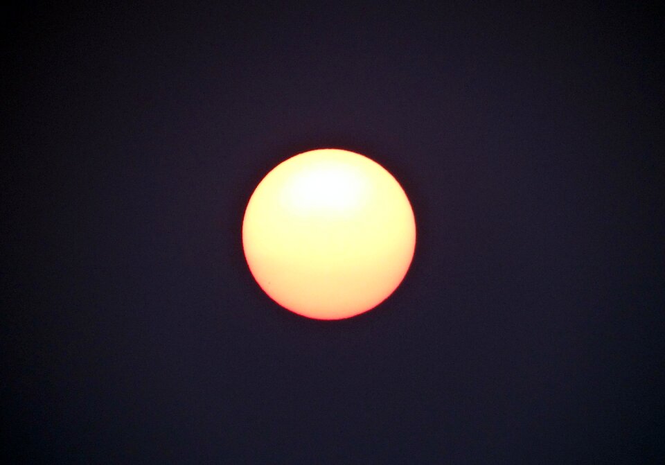 Morning sundarbans national park