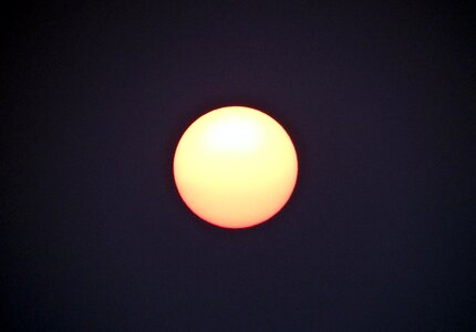 Morning sundarbans national park