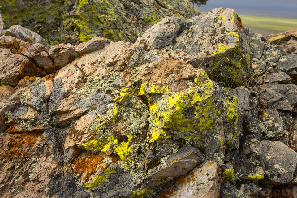Visible stones