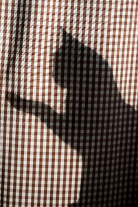 Mieze shadow play silhouette photo