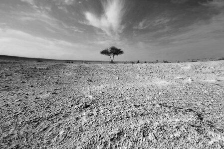 Dry heat landscape photo