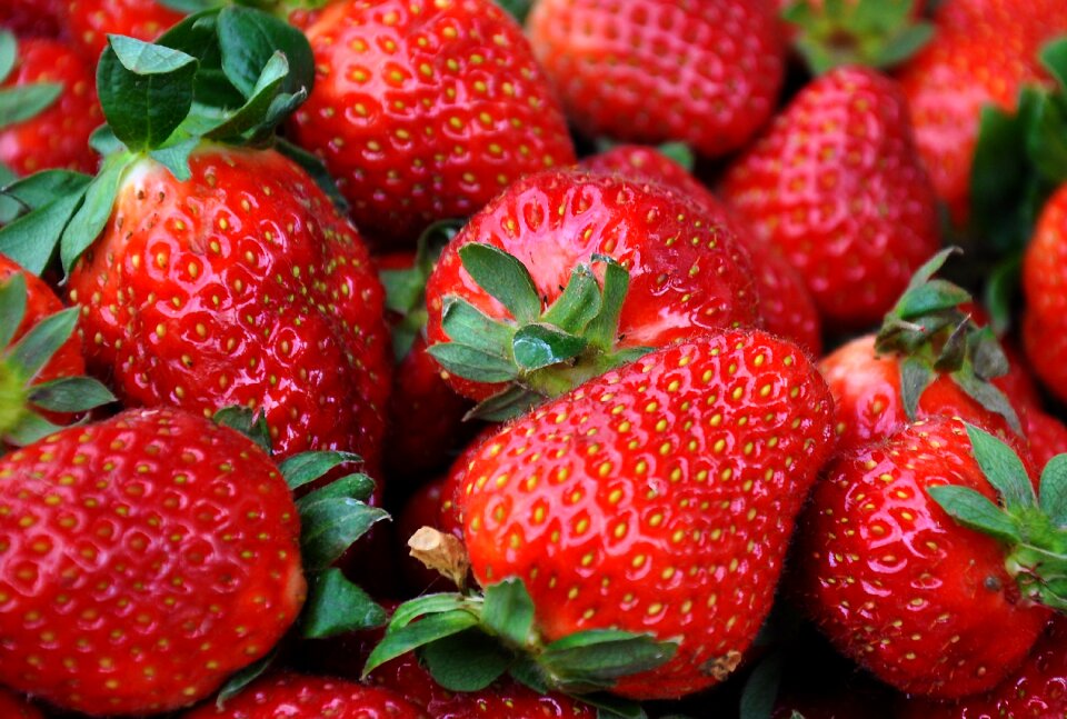 Red still life ripe fruit