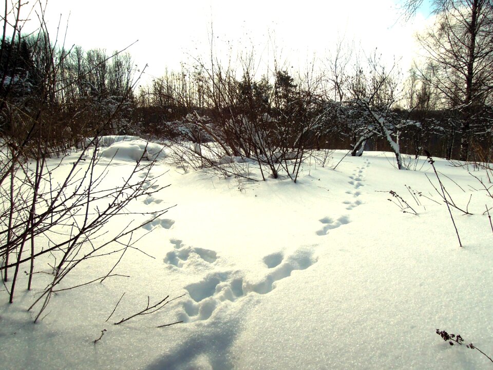 Eläiment tracks the second winter