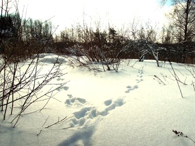 Eläiment tracks the second winter