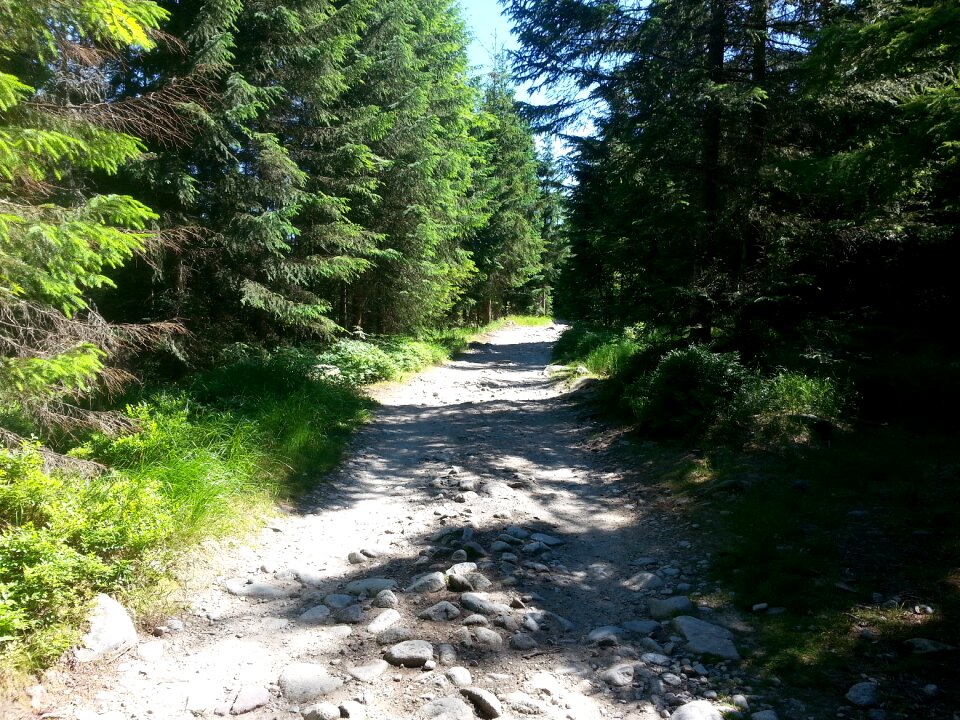Spacer view the path