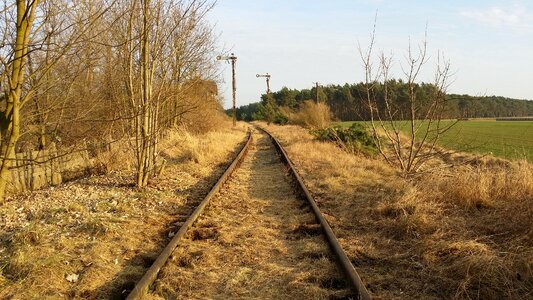 Scenery vegetation railroad