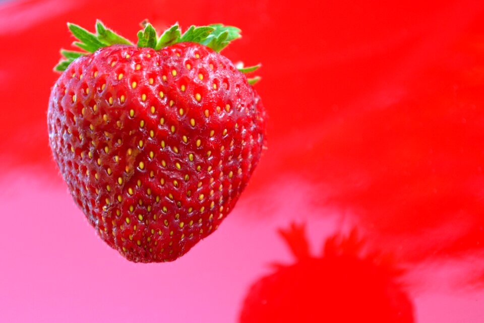 Fruits sweet summer