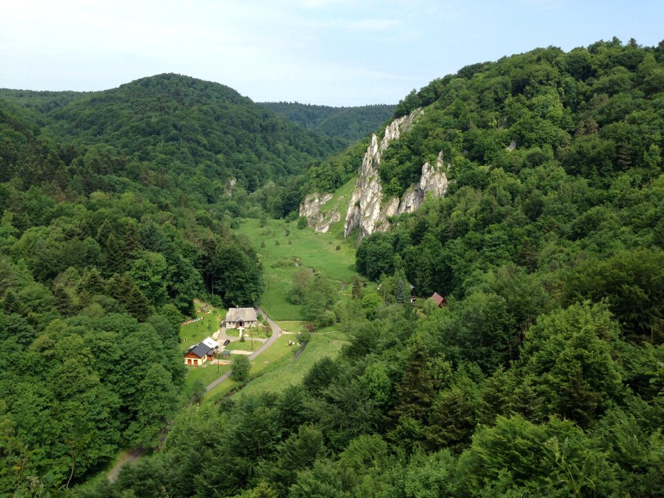 Landscape nature spring
