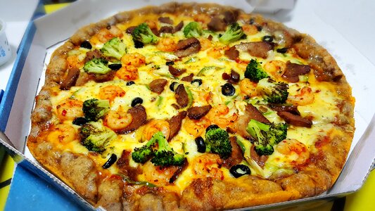 Pizza al bolo pizza pizza albol