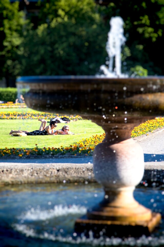 Water fountain meadow