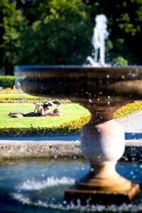 Water fountain meadow