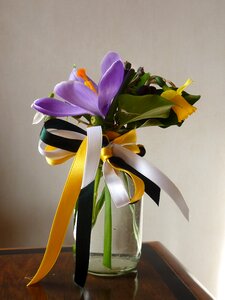 Crocus narcissus decoration