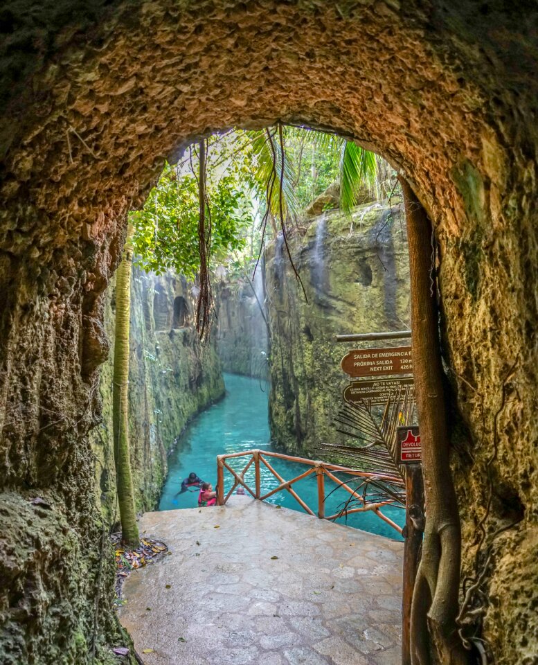 Forest river tropical