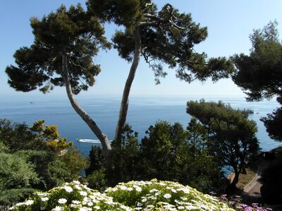 Vacation french riviera cote d'azur photo