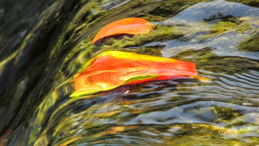 Flowing spring