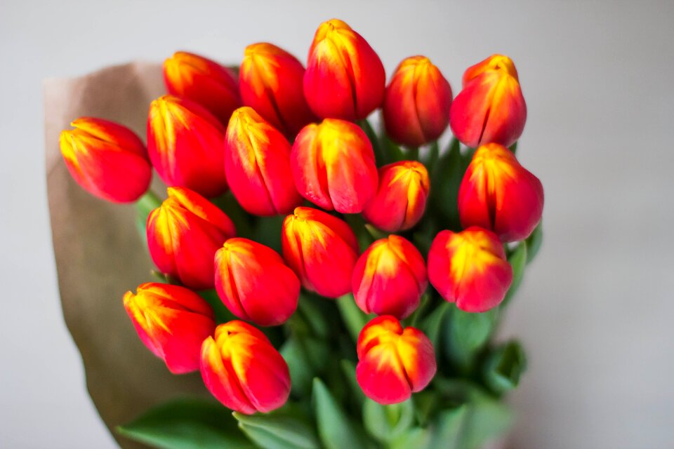Bright multi color yellow