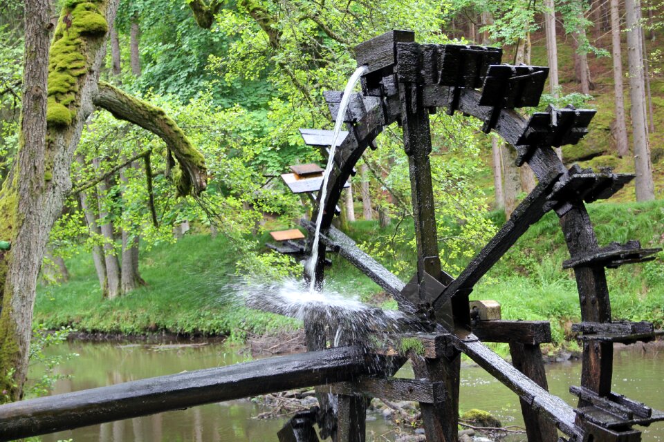 Forest waterwheel river