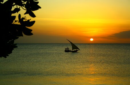 Sail sunset photo