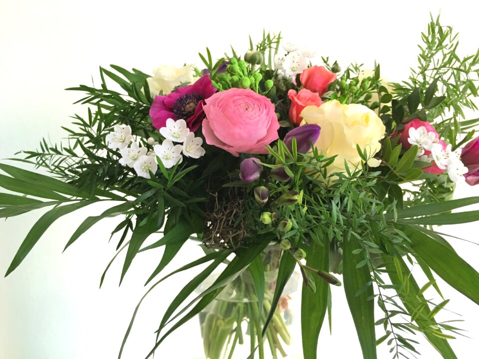 Roses ranunculus green