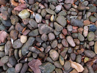 Nature away ground