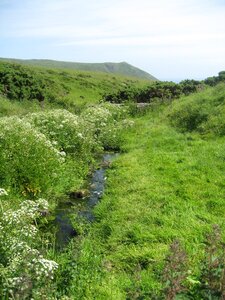 Scotland landscape green