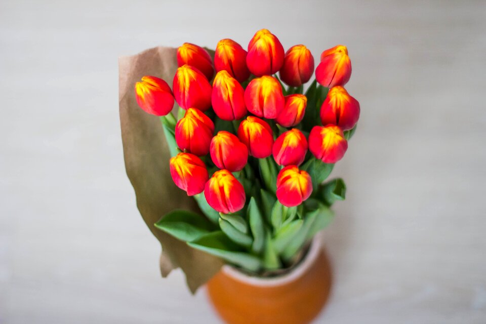 Bright multi color yellow