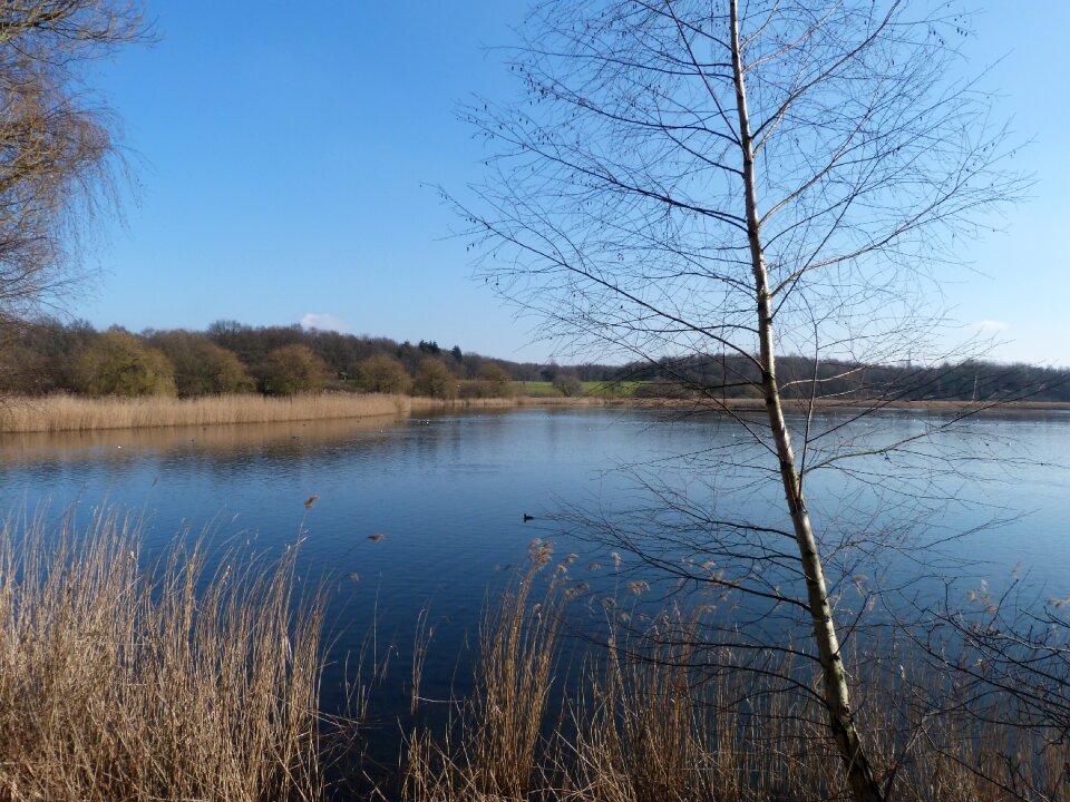 Nature lake landscape