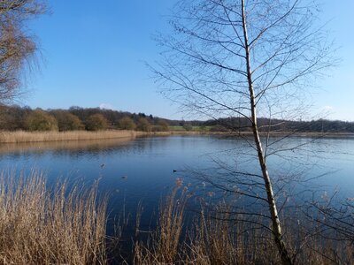 Nature lake landscape