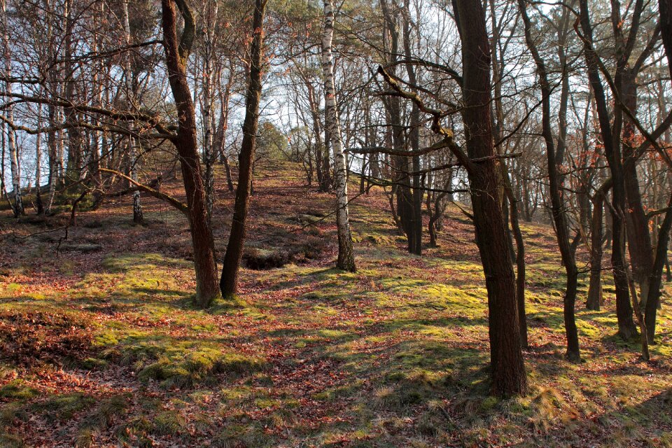 Light landscape mood