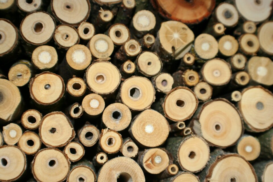 Bee hotel insect house wild bees