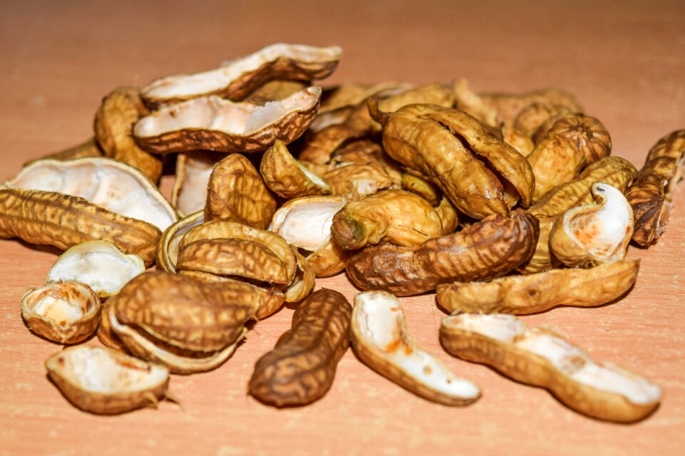 Shell brown organic