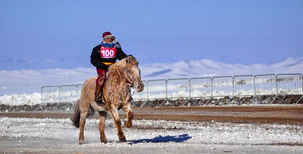 Horseback equine racing